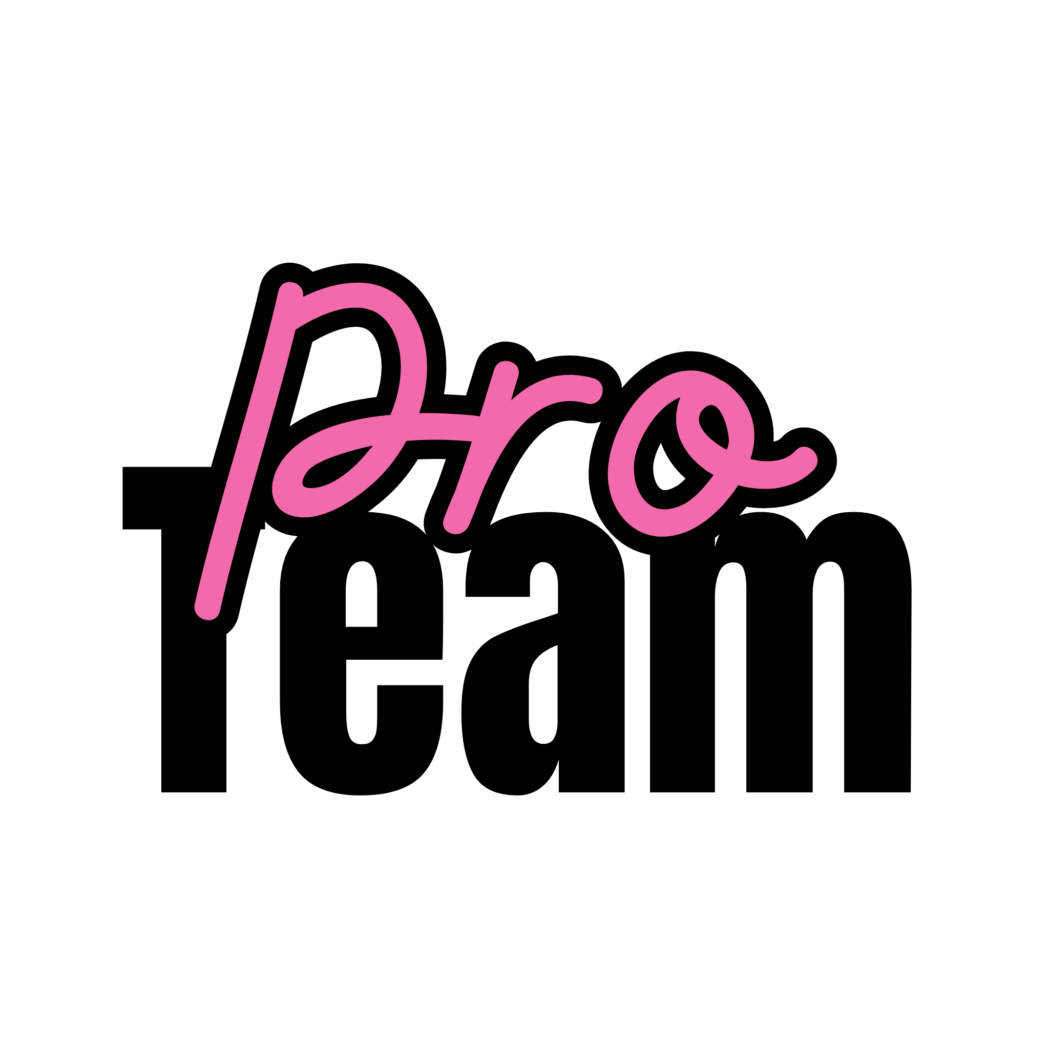 PRO TEAM