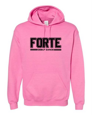 FORTE BLOCK HOODIE 1 - GILDAN