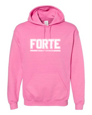 FORTE BLOCK HOODIE 1 - GILDAN